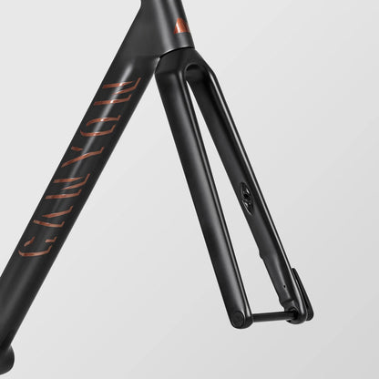 アルティメット CFR カンパニョーロエディション フレームセット アルティメット CFR カンパニョーロエディション フレームセット